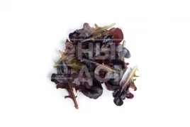 Семена салата Боттас / Bottas купить оптом и в розницу в Украине по выгодной цене