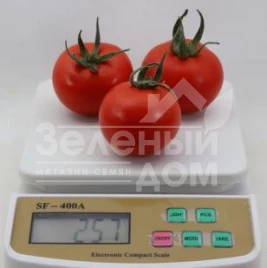 Семена томатов КС 134 F1 / KS 134 F1 купить оптом и в розницу в Украине по выгодной цене