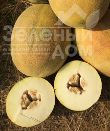 Насіння дині Бізан F1 / Bisan F1,60-65 днів купити оптом і в роздріб в Україні за вигідною ціною