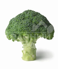 Семена капусты брокколи Агасси F1 / Agassi F1,65-75 дней купить оптом и в розницу в Украине по выгодной цене