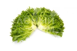 Семена салата Экзем / Exam купить оптом и в розницу в Украине по выгодной цене