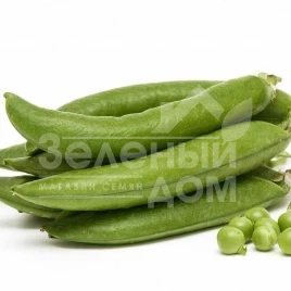 Семена гороха Амалфи / Amalfi купить оптом и в розницу в Украине по выгодной цене