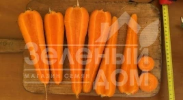 Семена моркови СВ 7381 F1 / SV 7381 F1,110-115 дней купить оптом и в розницу в Украине по выгодной цене