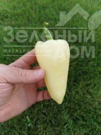 Насіння солодкого перцю Хеопс F1 / Heops F1,60-63 дні купити оптом і в роздріб в Україні за вигідною ціною