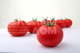 Насіння томатів Пінкі Фавор F1 / Pinky Favor F1 купити оптом і в роздріб в Україні за вигідною ціною