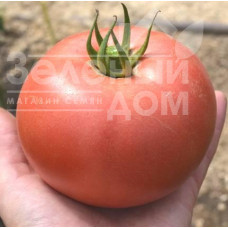 Насіння томатів ТС 02-0857 F1 / ТS 02-0857 F1 купити оптом і в роздріб в Україні за вигідною ціною