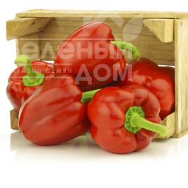 Насіння солодкого перцю Сіндерелла F1 / Cinderella F1,115-120 днів купити оптом і в роздріб в Україні за вигідною ціною