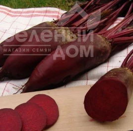 Семена свеклы Монорубра / Monorubra, 130 дней купить оптом и в розницу в Украине по выгодной цене