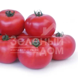 Семена томатов Асано F1 (KS 38 F1) / Asano F1 (KS 38 F1),105-115 дней купить оптом и в розницу в Украине по выгодной цене