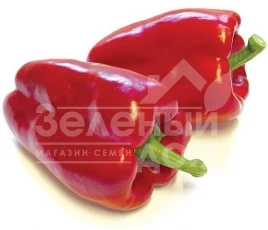 Семена сладкого перца Клаудио F1 / Claudio F1,72-80 дней купить оптом и в розницу в Украине по выгодной цене