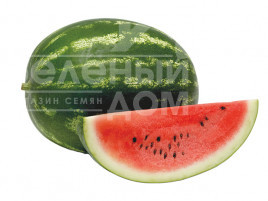 Насіння кавуна Мінерва F1 / Minerva F1, 60-65 днів купити оптом і в роздріб в Україні за вигідною ціною