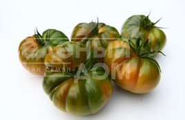 Насіння томатів Браун Кой F1 / Brown Coy F1,105-115 днів купити оптом і в роздріб в Україні за вигідною ціною