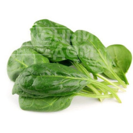 Насіння шпинату Віп / Vip купити оптом і в роздріб в Україні за вигідною ціною