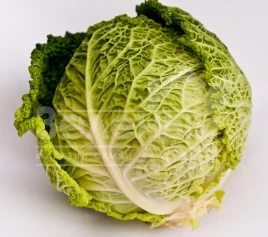 Семена капусты савойской Серпантин F1 / Serpantin F1,100-110 дней купить оптом и в розницу в Украине по выгодной цене