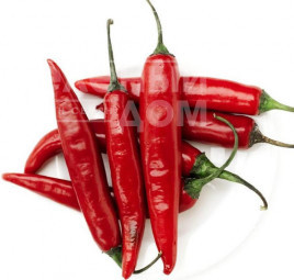 Насіння гіркого перцю Бібо (Імпала) F1 / Bibo (Impala)  F1,65-70 днів купити оптом і в роздріб в Україні за вигідною ціною