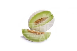 Семена дыни Санвисенте F1 / Sanvicente F1, 72-75 дней купить оптом и в розницу в Украине по выгодной цене