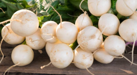 Насіння редису Бланка / Blanka,25-30 днів купити оптом і в роздріб в Україні за вигідною ціною