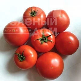Семена томатов Геликаз F1 / HelikazF1 купить оптом и в розницу в Украине по выгодной цене