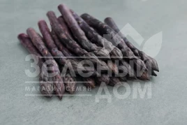 Семена спаржи Эрасмус F1 / Erasmus F1 купить оптом и в розницу в Украине по выгодной цене