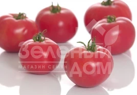 Семена томатов Пинк Мун F1 / Pink Moon F1 купить оптом и в розницу в Украине по выгодной цене