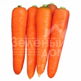 Семена моркови Курода / Kuroda,90 дней купить оптом и в розницу в Украине по выгодной цене