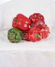 Семена сладкого перца Геркулес F1 / Hercules F1,75 дней купить оптом и в розницу в Украине по выгодной цене