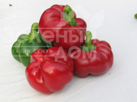 Насіння солодкого перцю Біхар F1 / Bihar F1,75 днів купити оптом і в роздріб в Україні за вигідною ціною