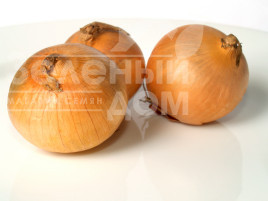 Цибуля ріпчаста Глобо / Globo,150-160 днів купити оптом і в роздріб в Україні за вигідною ціною