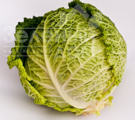 Насіння капусти савойської Серпантін F1 / Serpantin F1,100-110 днів купити оптом і в роздріб в Україні за вигідною ціною