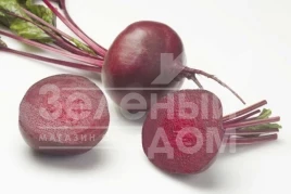 Семена свеклы Зеппо F1 / Zeppo F1,60-70 дней купить оптом и в розницу в Украине по выгодной цене