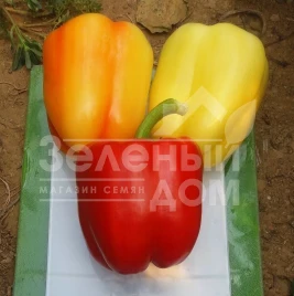 Семена сладкого перца Салана F1 / Salana F1, 55-60 дней купить оптом и в розницу в Украине по выгодной цене