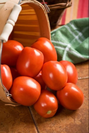 Насіння томатів Які F1 / Yaqui F1,105 днів купити оптом і в роздріб в Україні за вигідною ціною