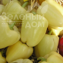 Насіння солодкого перцю Квадрі F1 / Kvadry F1,60-70 днів купити оптом і в роздріб в Україні за вигідною ціною