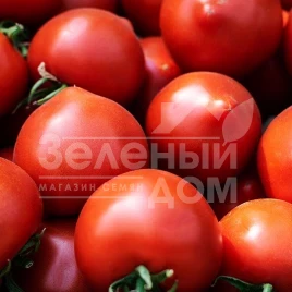 Семена томатов Мелонет F1 / Melonet F1 купить оптом и в розницу в Украине по выгодной цене