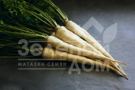 Семена петрушки Арат / Arat,150 дней купить оптом и в розницу в Украине по выгодной цене