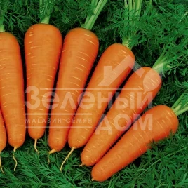 Семена моркови Ред Кор / Red Cor, 100-110 дней купить оптом и в розницу в Украине по выгодной цене