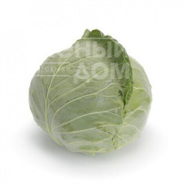 Насіння капусти білокачанної Болерома F1 / Boleroma F1,60-75 днів купити оптом і в роздріб в Україні за вигідною ціною
