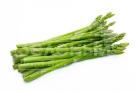 Семена спаржи Бахус F1 / Bacchus F1 купить оптом и в розницу в Украине по выгодной цене