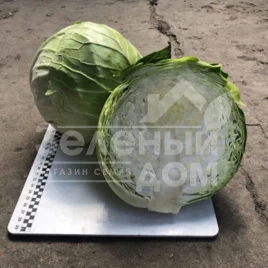Семена капусты белокочанной Индиана F1 / Indiana F1,70 дней  купить оптом и в розницу в Украине по выгодной цене