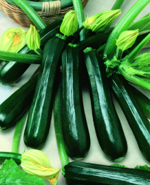 Насіння кабачків Гамбіт F1 / Gambit F1,40-45 днів купити оптом і в роздріб в Україні за вигідною ціною