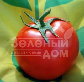 Семена томатов Немесис F1 / Nemezis F1,100-110 дней купить оптом и в розницу в Украине по выгодной цене