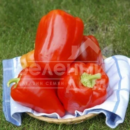 Семена сладкого перца Сильвер Бел F1 / Silver Bell F1,110-120 дней купить оптом и в розницу в Украине по выгодной цене