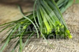 Лук на перо Эректа / Erecta,40-50 дней купить оптом и в розницу в Украине по выгодной цене