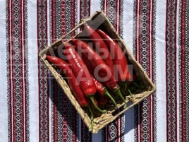 Семена горького перца Мараб F1 /  Marab F1  купить оптом и в розницу в Украине по выгодной цене