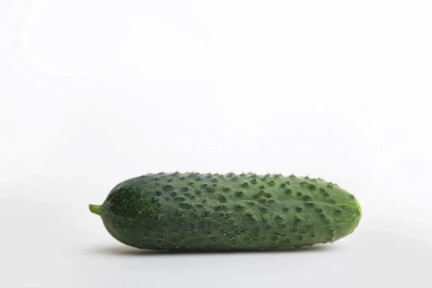 Джуниор F1 (LS 1906) / Junior F1 (LS 1906) фото 2