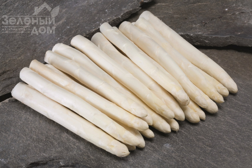 Кумулюс F1 / Cumulus F1 фото 1