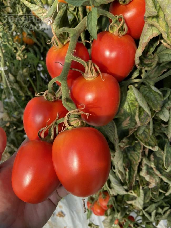 Бильбао F1 / Bilbao F1 фото 2