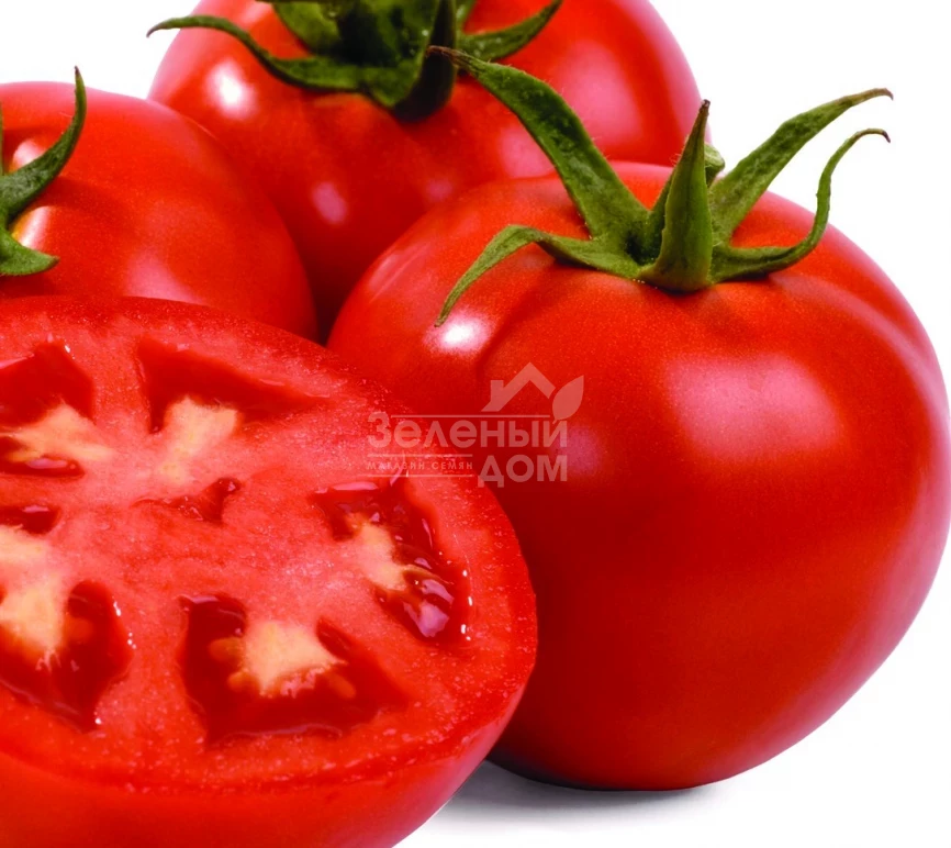 Интерлэнд F1 / Interland F1 фото 1