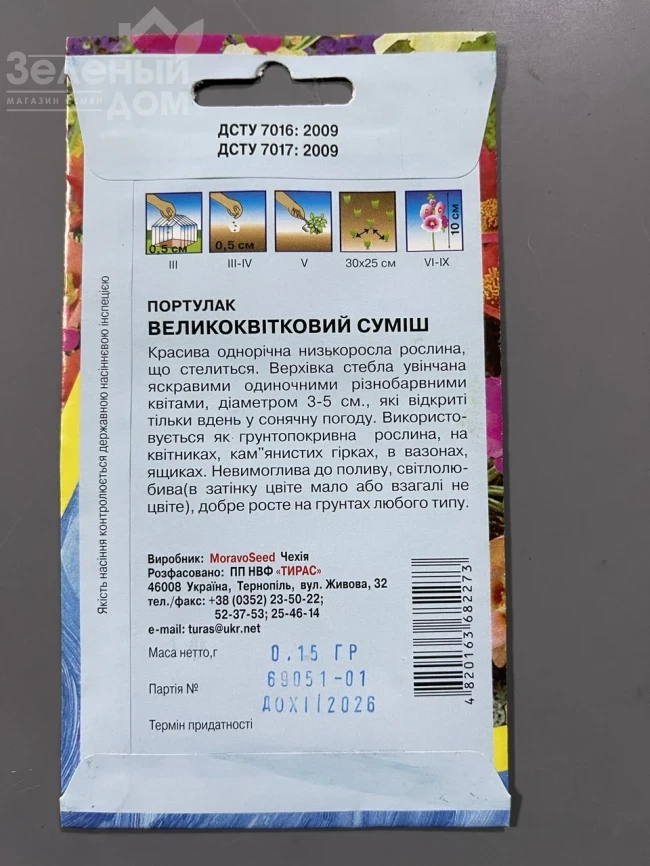 Портулак великоквітковий  фото 2