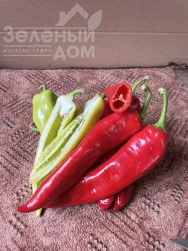 Горн F1 / Horn F1, 50-55 дней фото 1